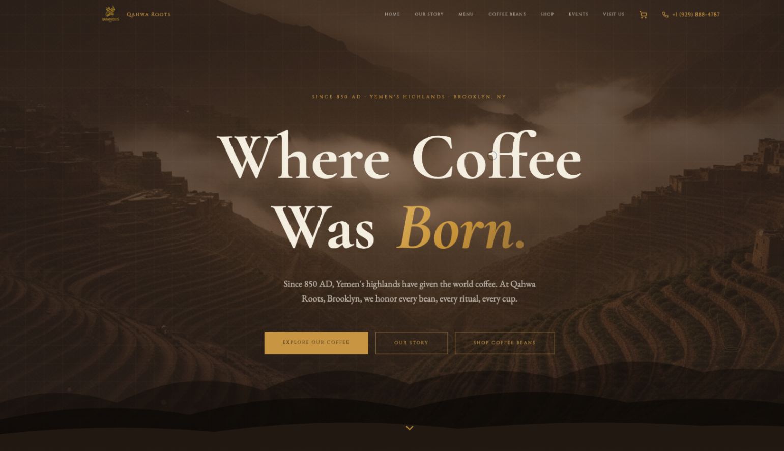 E-commerce Design & Development